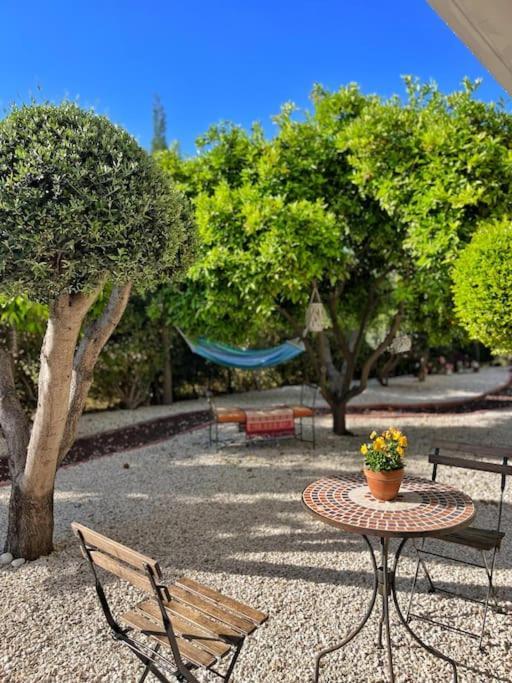 Teo Apartment Paphos 外观 照片